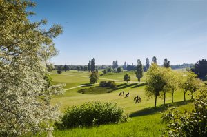 Green-fee Garden Golf Bluegreen Saint-Quentin-en-Yvelines Parcours Rouge
