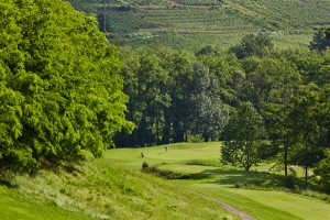 Green Fee Golf de Ammerschwihr